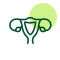 Icon of Gynaecology