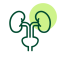 Icon of Urology