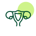 Icon of Gynaecology