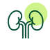 Icon of Nephrology