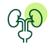 Icon of Urology