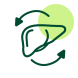 Icon of Liver Surgery and Transplant