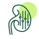 Icon of Renal Dialysis